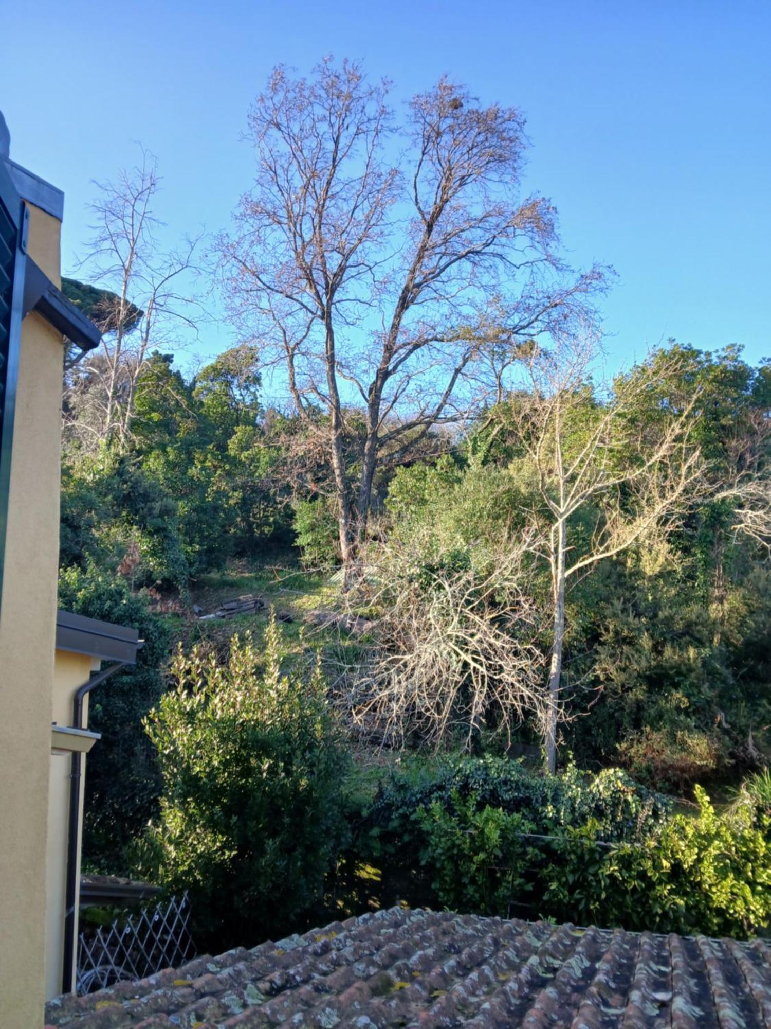 Casa Misha Tra 5 Terre E Versilia Bocca di Magra Экстерьер фото